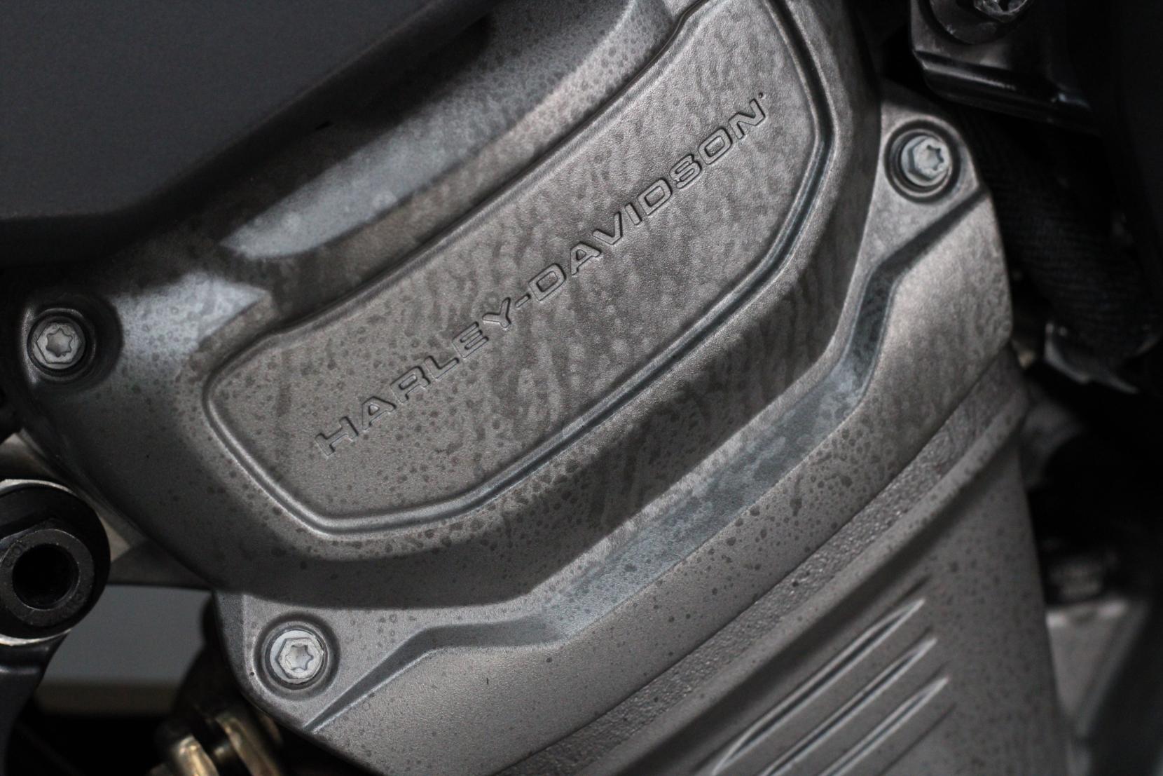 Harley-Davidson Pan America 1250 RA1250 Adventure Petrol Manual Euro 5 (152 ps)